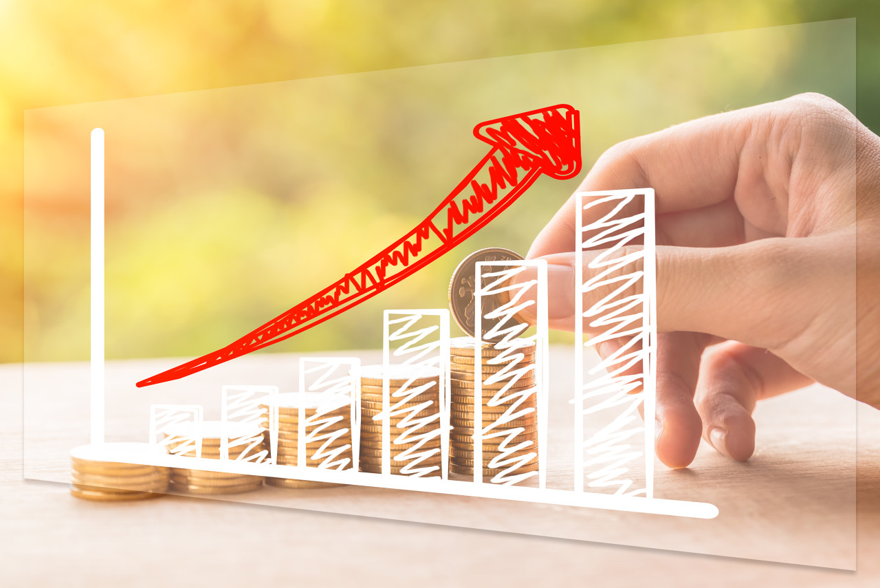 拆解安琪酵母三季报:海外营收增长、国内增速放缓,第三季度扣非净利润下滑8%