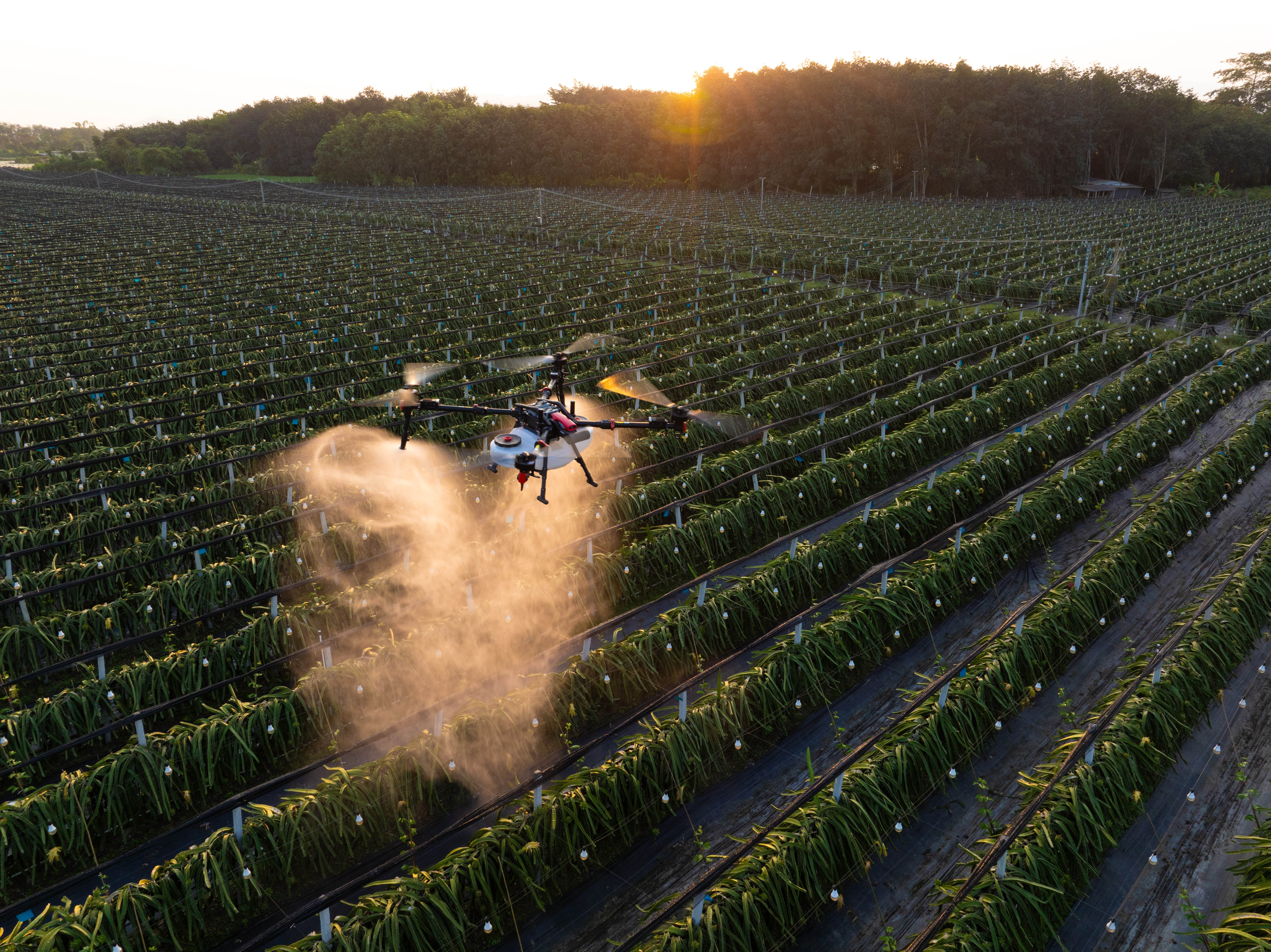 智慧农业浪潮下的助力,农行广东分行推动低空经济发展新篇章