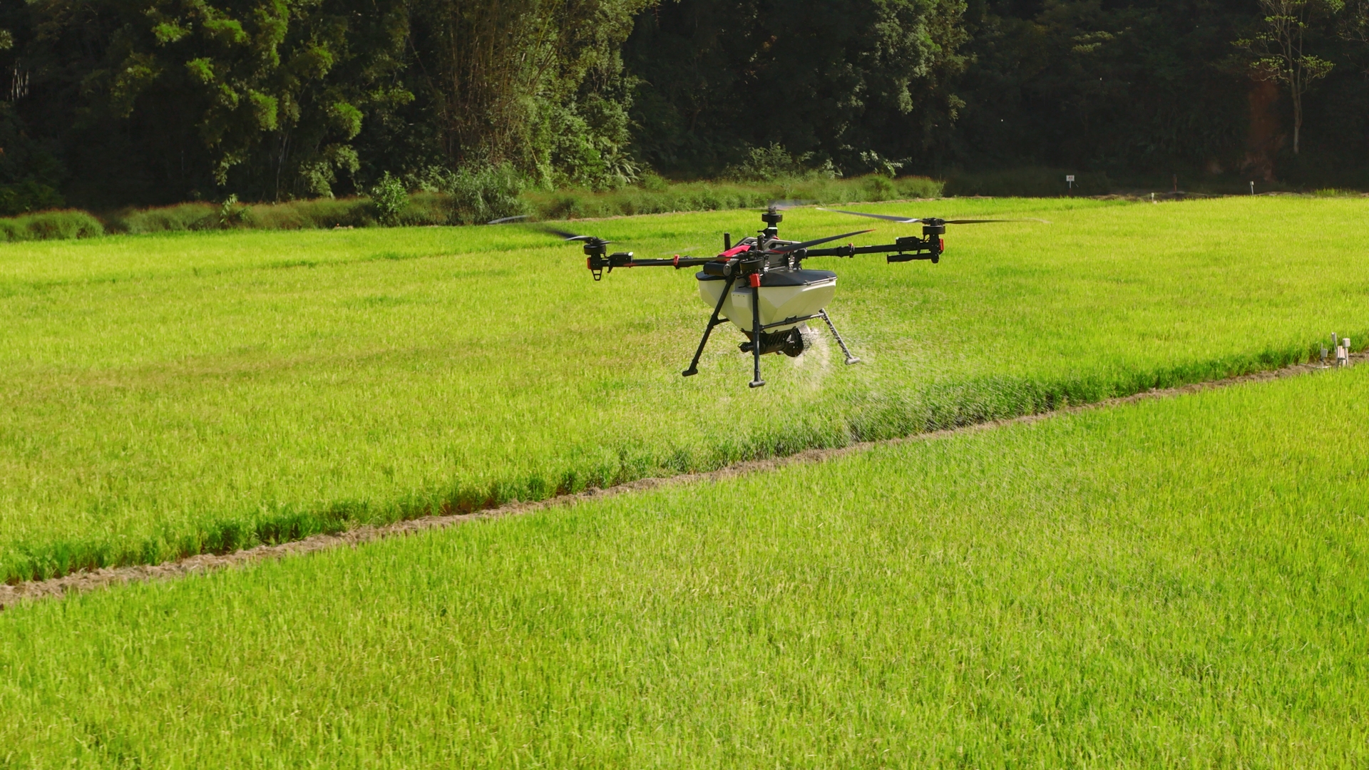 智慧农业浪潮下的助力,农行广东分行推动低空经济发展新篇章