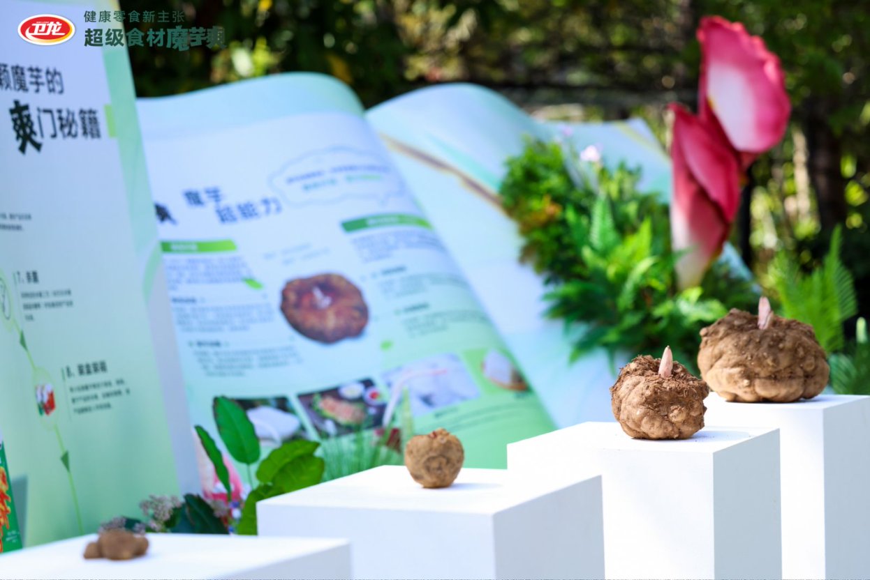 既要又要消费者的魔芋市场培育之道,如何打造千亿级市场?