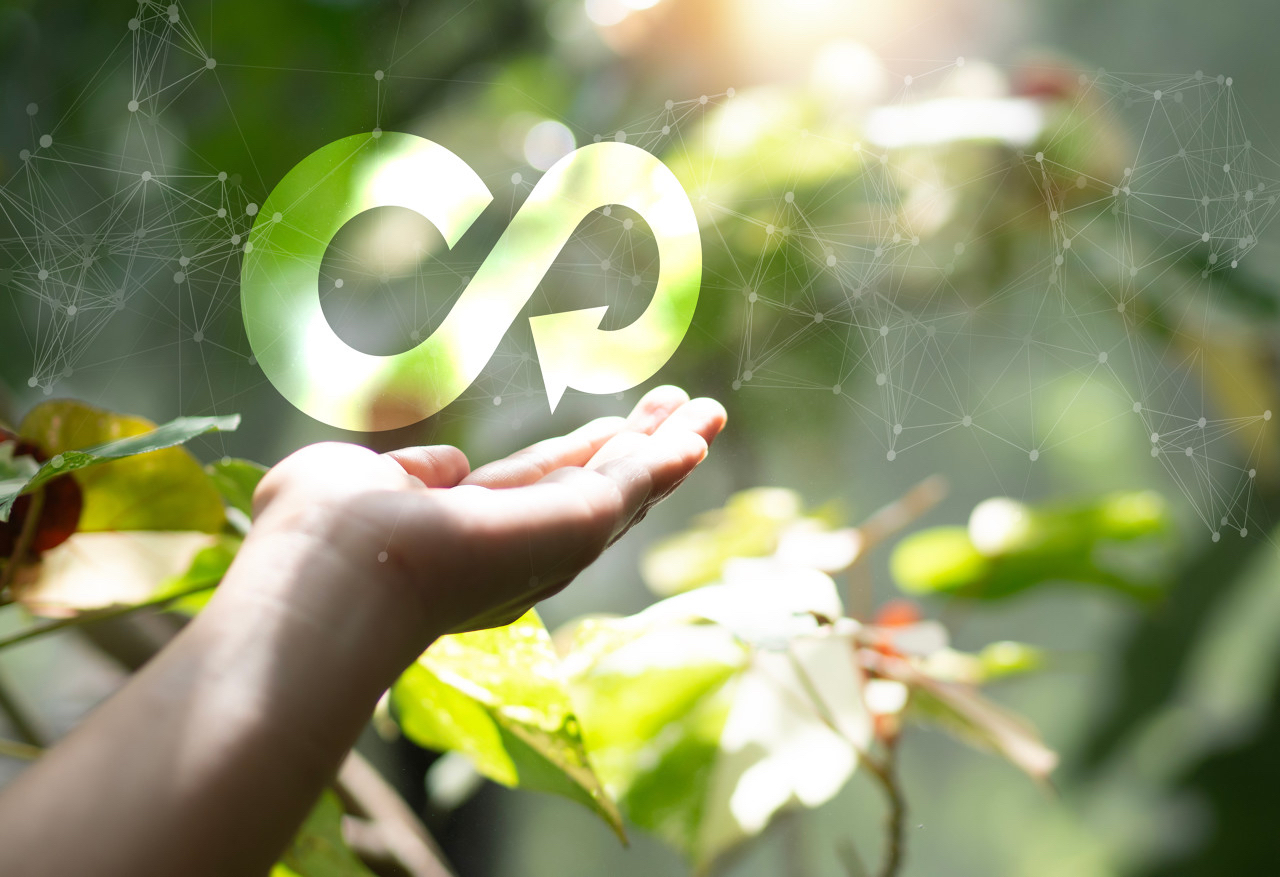 刘世锦：加快绿色低碳产业发展，关键是要扩大国内需求