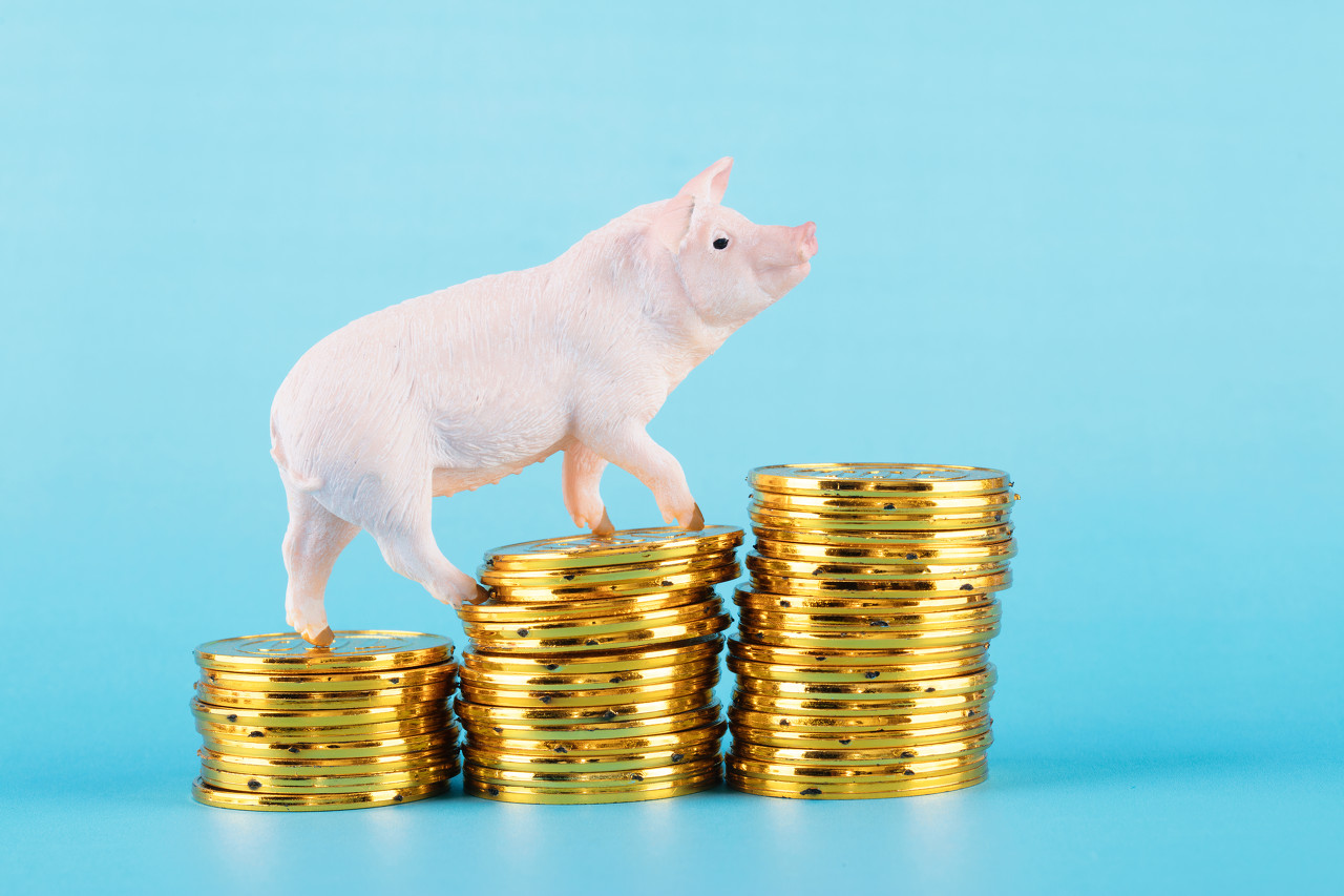 16家上市猪企去年亏超200亿，傲农资不抵债！猪价回暖，行业二季度或能赚钱
